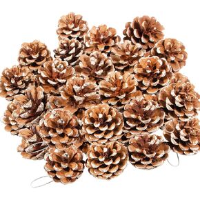 24PCS Natural Pine Cones Christmas Rustic Pine Cones Bulk Ornaments with String for Xmas Thanksgiving Fall Party Craft Decorations