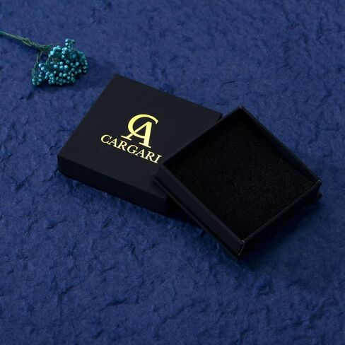 Crgari Music Necklace 925 Sterling Silver Guitar Pendant Guitar Pick Holder Necklace Music Jewelry Christmas Gifts for Men Women(With Gift Box) in Saudi Arabia