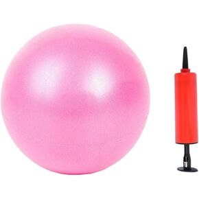 MoldFun Mini Yoga Pilates Ball 10 Inch for Stability Exercise Training Gym Anti Burst and Slip Resistant Balls with Inflatable Straw