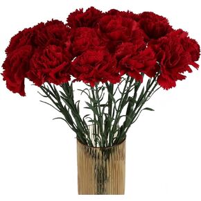 Red Carnations Artificial Flowers Red Flowers 15PCS Carnations Flowers Silk Flowers 21.25in Fake Flowers for Wedding Home Table Centerpieces Floral Arrangements(Red)