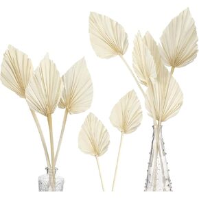 Boho Dried Palm Spears Small Natural Dried Palm Fans Dried Palm Leaves Dried Palm Leaf Palm Fan Leaf with Stem Dried Leaf Decor for Vase Wedding Party Office Home Wall Decor (White, 10 Pieces)