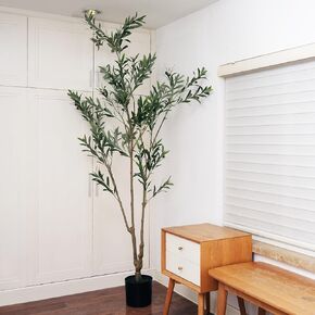 Artificial Olive Tree Plant, Lifelike Silk Plant with Natural Wood Trunk & Realistic Fruits, Perfect for Ideal Indoor Decor for Home, Office & Living Room (White, 7ft)