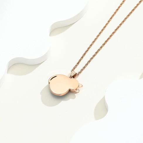 Urn Necklace for Ashes Cat Moonstone Cremation Jewelry for Pet Human Stainless Steel Memorial Urn Jewelry Keepsake Pendant for Women Men Gifts in Saudi Arabia