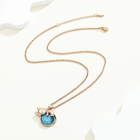 Urn Necklace for Ashes Cat Moonstone Cremation Jewelry for Pet Human Stainless Steel Memorial Urn Jewelry Keepsake Pendant for Women Men Gifts in Saudi Arabia