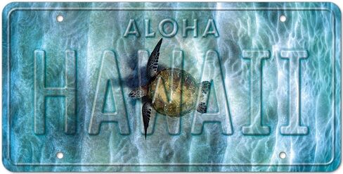 LUV 2 SRF - 6 x 12in Vintage Hawaiian Embossed License Plate in Saudi Arabia