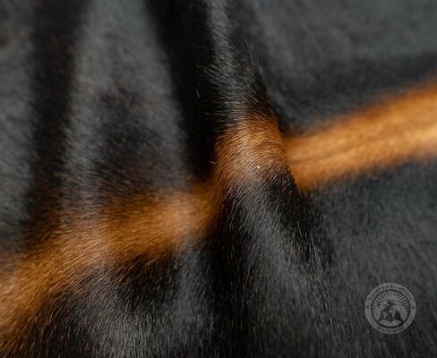 سجادة Sunshine Cowhides 100% من جلد البقر البني الداكن الأصلي - سجادة جلد حيوان على الطراز الحديث وسجادة أرضية لغرفة المعيشة وغرفة النوم والمطبخ والمزيد - كبيرة جدًا (6x7-8 قدم) in Kuwait