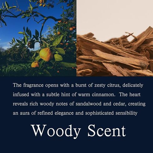 معطر هواء للسيارة، معطر هواء يدوم طويلاً للسيارات والمنزل، مزيل للرائحة المنعشة لمدة تصل إلى 30 يومًا - أزرق، 4 عبوات in Saudi Arabia