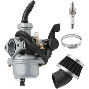 22mm PZ22 Carburetor Kit Replacement for 110cc 125cc SSR CRF50 Predators Go Karts Pit Dirt Bike,for Taotao Pit Bike ATV (PZ22 KIT3)