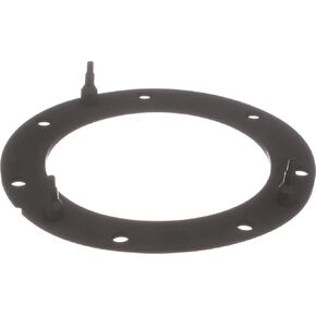 Delphi FA10038 Fuel Pump Tank Seal