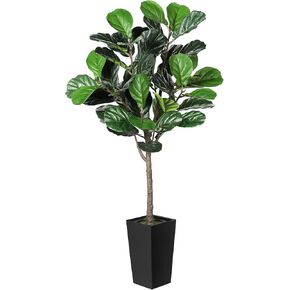 Fiddle Leaf Fig Tree Artificial 5FT - Faux Fiddle Leaf Fig Tree with Black Tall Planter - Faux Ficus Lyrata Plant with Fiddle Leaves - Artificial Tree for Home Office Living Room Decor Indoor