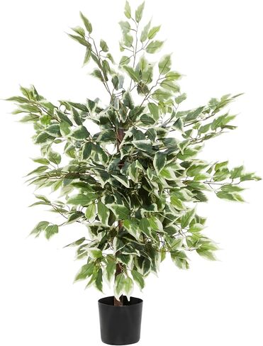 Deco 79 Polyester Ficus Artificial Tree with Black Plastic Pot, 38" x 36" x 73", Green in Saudi Arabia