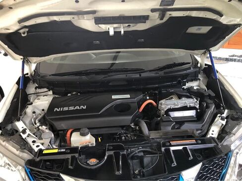 TSUBASA Lift Supports for Nissan X-Trail T32 for Nissan Rogu 2014-2019 Front Bonnet Hood Modify Carbon Fiber Gas Charged Shock Dampers Spring Struts Bar (2 PCS) (Normal black) in Saudi Arabia