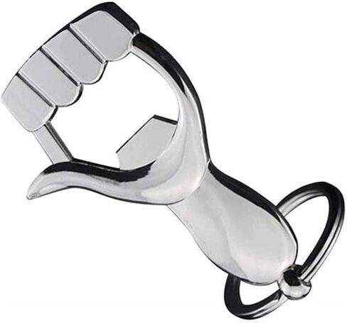 AUGEN Stainless Steel Metal Keychain For Men And Women, Key Holder With Metal Keyring For Gift (Pack of 1) in Saudi Arabia