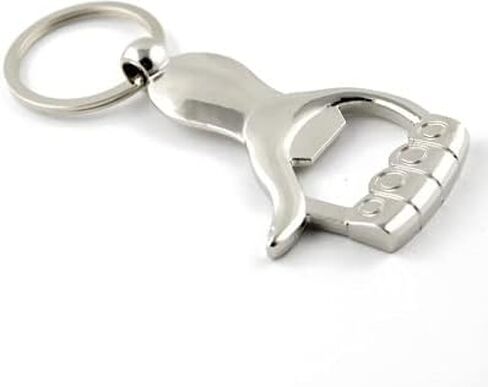 AUGEN Stainless Steel Metal Keychain For Men And Women, Key Holder With Metal Keyring For Gift (Pack of 1) in Saudi Arabia