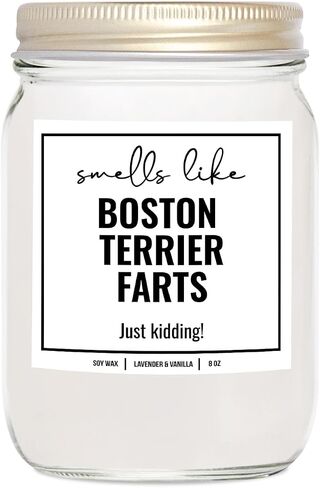 YouNique Designs Smells Like Boston Terrier Farts Soy Candle 8oz - Dog Farts Candle Boston Terrier Gifts for Boston Terrier Lovers - Boston Terrier Gifts for Women, Men (Lavender & Vanilla) in Saudi Arabia