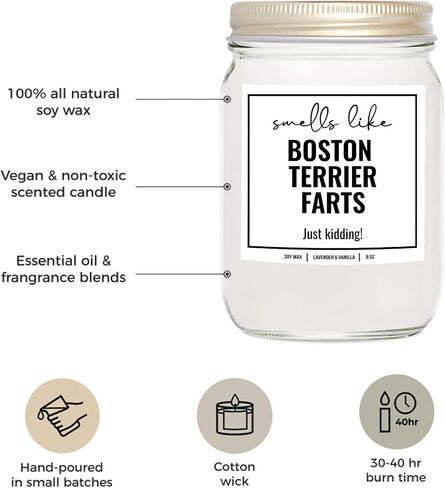 YouNique Designs Smells Like Boston Terrier Farts Soy Candle 8oz - Dog Farts Candle Boston Terrier Gifts for Boston Terrier Lovers - Boston Terrier Gifts for Women, Men (Lavender & Vanilla) in Saudi Arabia