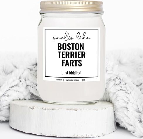 YouNique Designs Smells Like Boston Terrier Farts Soy Candle 8oz - Dog Farts Candle Boston Terrier Gifts for Boston Terrier Lovers - Boston Terrier Gifts for Women, Men (Lavender & Vanilla) in Saudi Arabia