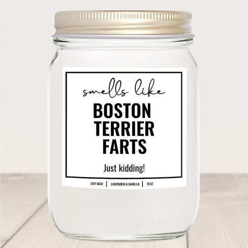 YouNique Designs Smells Like Boston Terrier Farts Soy Candle 8oz - Dog Farts Candle Boston Terrier Gifts for Boston Terrier Lovers - Boston Terrier Gifts for Women, Men (Lavender & Vanilla) in Saudi Arabia