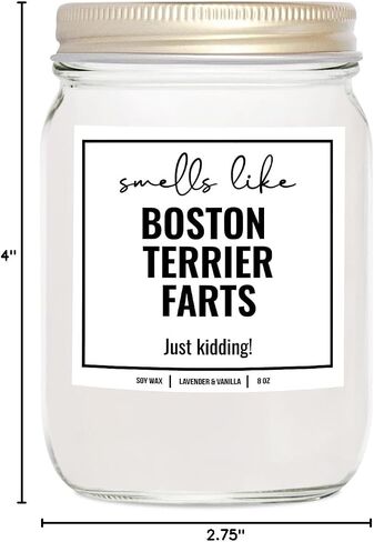 YouNique Designs Smells Like Boston Terrier Farts Soy Candle 8oz - Dog Farts Candle Boston Terrier Gifts for Boston Terrier Lovers - Boston Terrier Gifts for Women, Men (Lavender & Vanilla) in Saudi Arabia