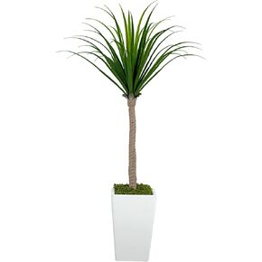 5FT Artificial Magnolia Tree,Magnolia Faux Plants Indoor, Artificial Flower Tree with Pot,Artificial Plants for Home Decor,Realistic Leaves Flowers for Wedding Living Room Office Hotel Decor