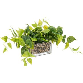 Artificial Plants Fake Greenery Indoor,Small Decorative Fake Greenery Set,Home Decor Greenery in Glass Pot