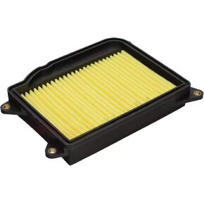 Hiflofiltro HFA4406 Premium OE Replacement Air Filter, Black