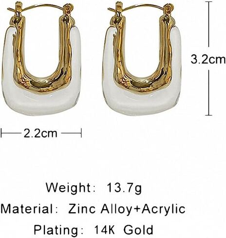Resin U Shaped Hoop Earring Women Acrylic Irregular Geometric Huggie Earrings in Kuwait