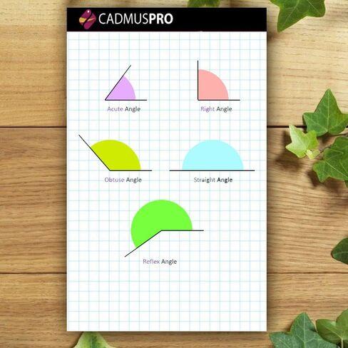 CADMUSPRO Junior Legal Size (5"x8") Small Graph Paper Pad, ¼" 4x4 Grid, 100 perforated sheets per pad, Tape Binding. Great for both Students and Professionals in Saudi Arabia