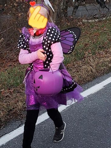 ALVOGIMOR Girls Beautiful Butterfly Costume,Fairy Monarch Butterfly Role Play Costume Including Wing and Headband in Saudi Arabia