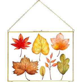 11x14 Inch Pressed Flowers Glass Picture Frames for Artwork Certificate, Horizontal Gold Brass Double Glass Clip Frame, Wall Hanging Dried Flower Plant Specimen Vintage Modern Geometric Decor