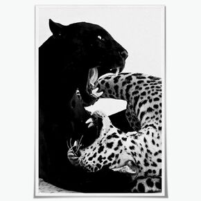 Trendy Black and White Wall Art Panther on The Sofa Posters Canvas Prints Vintage Fashion Cheetah Picture Poster Leopard Magazine Cover Aesthetic Wall Decor for Dorm Bedroom 8x12inch Unframed