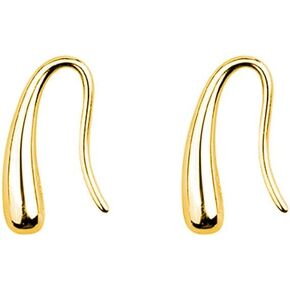 SLUYNZ 925 Sterling Silver Teardrop Earrings Drop for Women Teens Waterdrop Earrings Small Hook Earrings