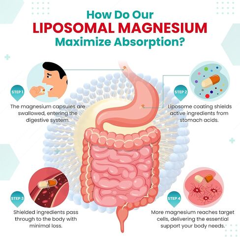 Liposomal Magnesium L-THREONATE 3000 mg تركيبة عالية الامتصاص - أقصى قدر من الفعالية - دعم الاستعادة، صحة الكورتيزول - صنع في الولايات المتحدة الأمريكية in Kuwait