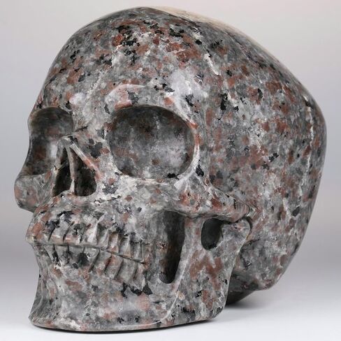 5.0" Yooperlite Crystal Skull Statue,Realistic,Crystal Healing Stone,Hand Carved Gemstone Sculpture Home Decor. (Yooperlite(Super)) in Saudi Arabia