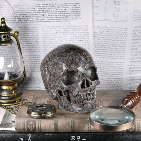 5.0" Yooperlite Crystal Skull Statue,Realistic,Crystal Healing Stone,Hand Carved Gemstone Sculpture Home Decor. (Yooperlite(Super)) in Saudi Arabia
