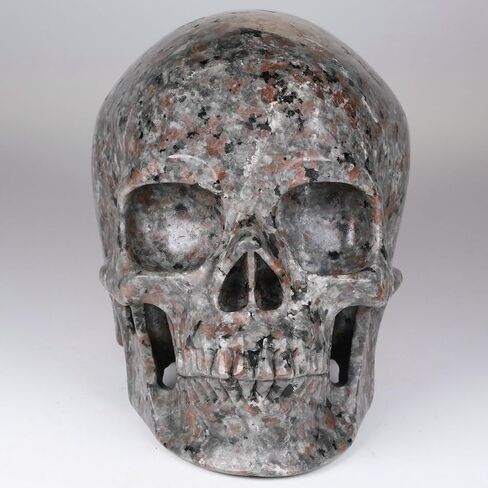 5.0" Yooperlite Crystal Skull Statue,Realistic,Crystal Healing Stone,Hand Carved Gemstone Sculpture Home Decor. (Yooperlite(Super)) in Saudi Arabia