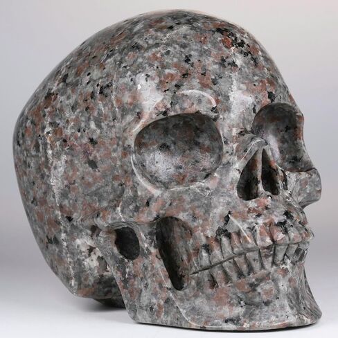 5.0" Yooperlite Crystal Skull Statue,Realistic,Crystal Healing Stone,Hand Carved Gemstone Sculpture Home Decor. (Yooperlite(Super)) in Saudi Arabia