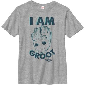 Fifth Sun Marvel Universe The Groot Boy's Heather Crew Tee