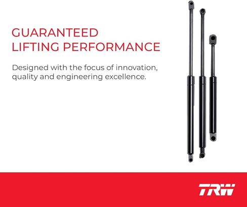 TRW TSG101018 Hood Lift Support for Volkswagen Passat 2002-2005 in Saudi Arabia