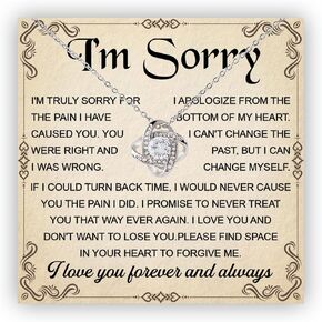 I'm Sorry Necklace For Her, Im Sorry Neckace Gift, Apology Necklace For Her Women, Forgive Me Gifts For Her, I'm Sorry For Hurting You Neckace, Apologize Gift For Wife Girlfriend Soulmate