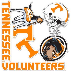 Desert Cactus University of Tennessee Stickers UT Knoxville Volunteers Vols Sticker Vinyl Decals Laptop Water Bottle Car Scrapbook T2 (Type 2)