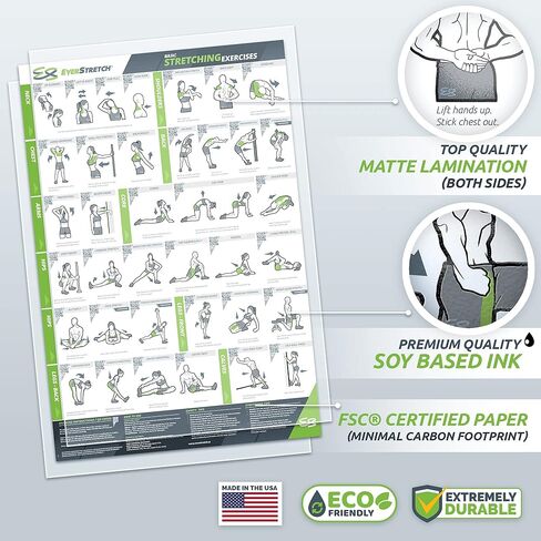 ملصق EverStretch القابل للتمدد لصالة الألعاب الرياضية المنزلية - مع تعليمات الفيديو - كبير 23 بوصة × 35 بوصة | مخطط تجريب مصفح | ملصقات التمدد الأساسية لصالة الألعاب الرياضية المنزلية | ملصق تمرين التمدد in Kuwait