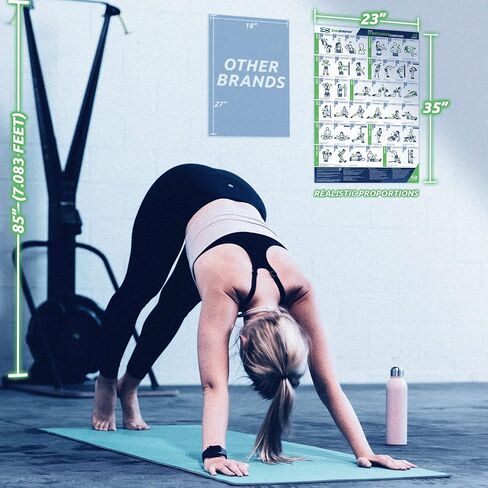 ملصق EverStretch القابل للتمدد لصالة الألعاب الرياضية المنزلية - مع تعليمات الفيديو - كبير 23 بوصة × 35 بوصة | مخطط تجريب مصفح | ملصقات التمدد الأساسية لصالة الألعاب الرياضية المنزلية | ملصق تمرين التمدد in Kuwait