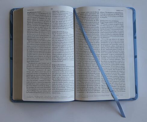 Biblia RVR 1960 letra grande tamaño manual, simil piel azul celeste con nombres de Dios / Spanish Bible RVR 1960 Handy Size Large Print Leathersoft Soft Blue in Saudi Arabia