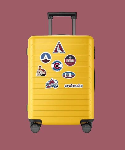 30 PCS Set of Colorado Vinyl Avalanche Stickers Pack Colorado Decal Avalanche 2-3 inches in Kuwait