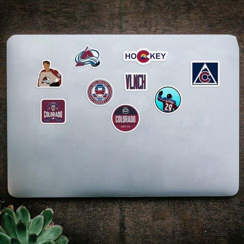 30 PCS Set of Colorado Vinyl Avalanche Stickers Pack Colorado Decal Avalanche 2-3 inches in Kuwait