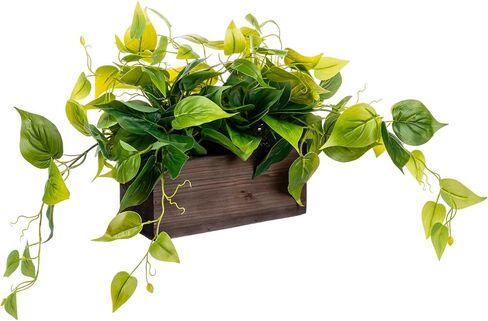 MyGift Vibrant Lifelike Artificial Plant Pothos Leafy Vine Greenery in Burnt Brown Solid Wood Rectangular Planter Box in Saudi Arabia