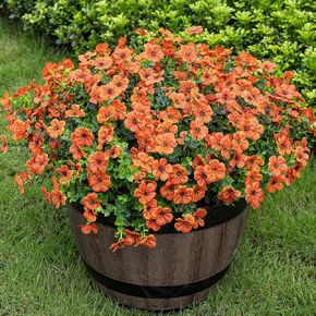 Lnoicy 20 Bundles Artificial Fake Flowers for Outdoor Faux Eucalyptus Flowers for Home Decoration,Fake Plants UV Resistant for Porch/Garden（9 Color）