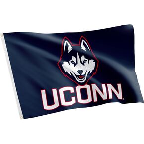 Desert Cactus University of Connecticut Flag UConn Huskies Flags Banners 100% Polyester Indoor Outdoor 3x5 (Style 4a)