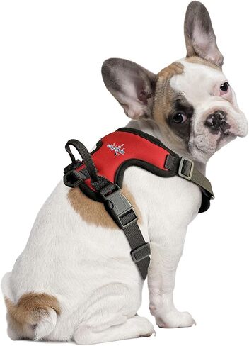 Littlearth Montreal Canadiens NHL Front Clip Pet Harness in Saudi Arabia